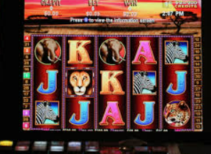 旺财28.ccpc29APP2024最新版